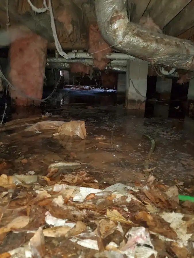 Crawl space flood assessment for Leak Detection & Repair in Fairwood